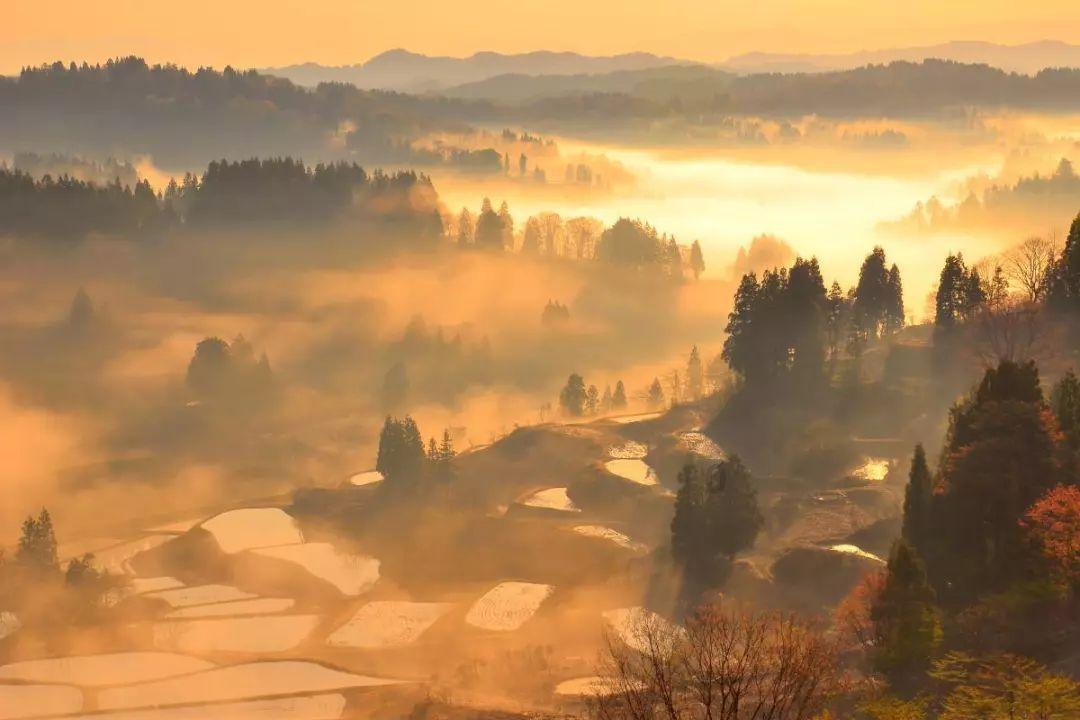 奔跑吧兄弟大冒险3